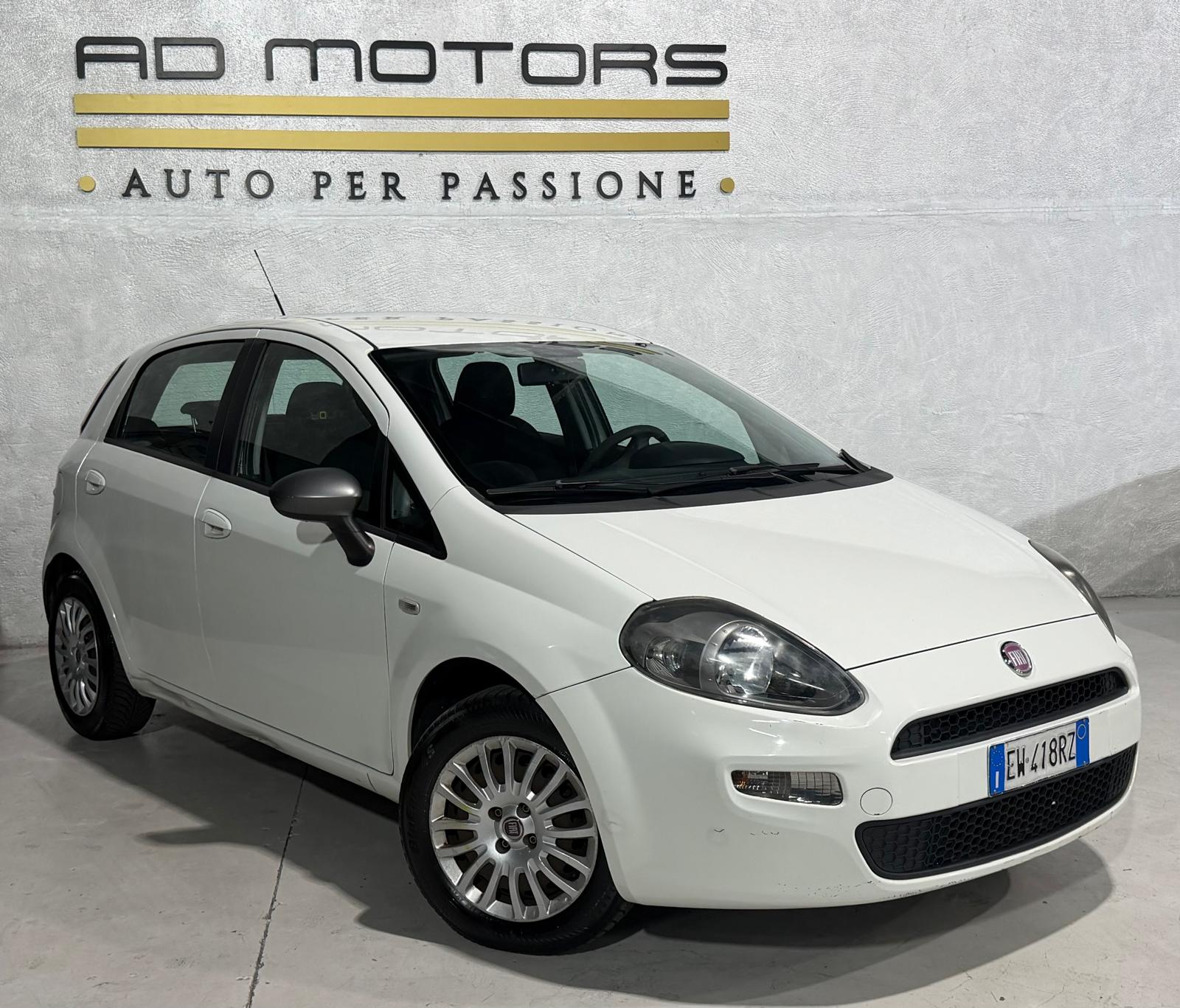 Fiat Punto 5p 1.4 easypower Street Gpl E6 Gpl valido fino 2034 Neopatentati, del 2014, 266.000 km, in vendita a Bareggio (MI)