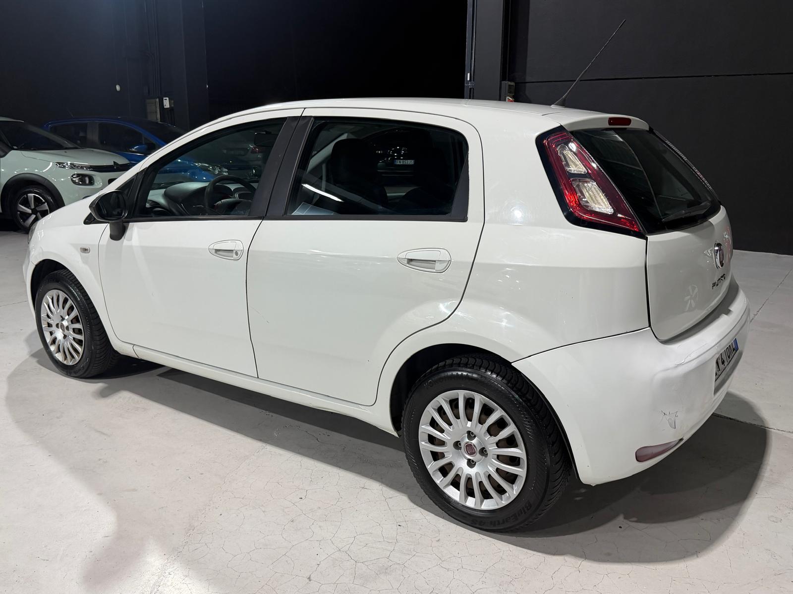 Fiat Punto 5p 1.4 easypower Street Gpl E6 Gpl valido fino 2034 Neopatentati - foto 4 di 4