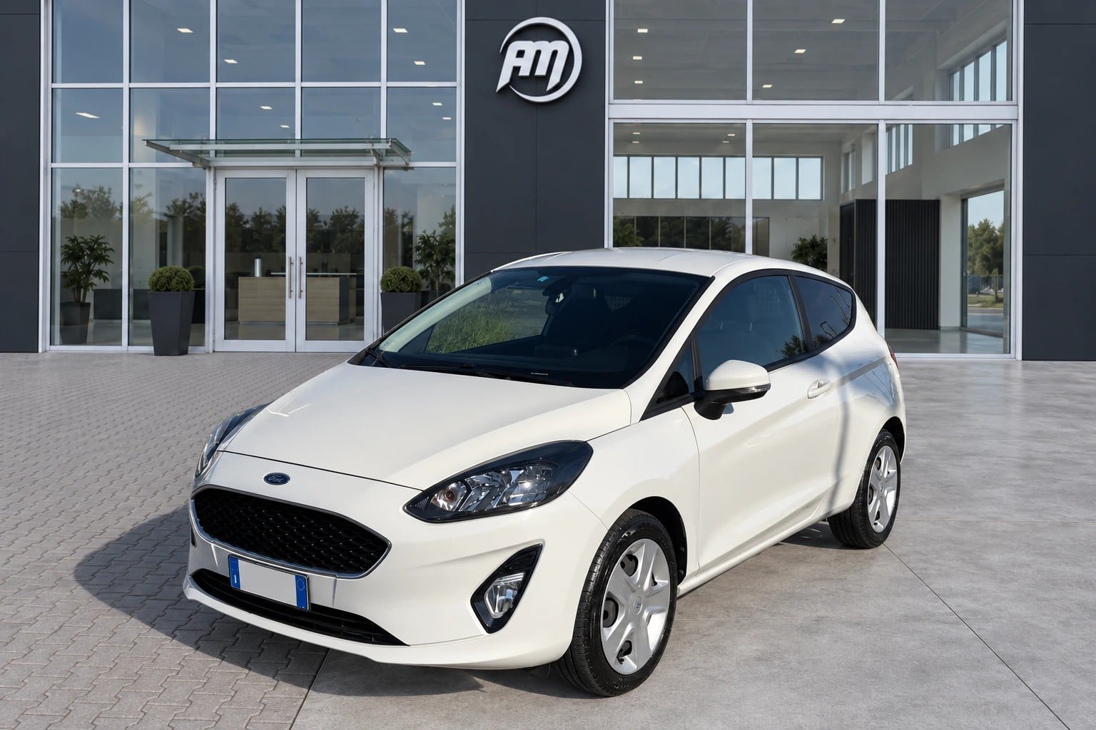 Ford Fiesta VII Van Fiesta VAN 3 PORTE, del 2021, 112.707 km, in vendita a San Miniato (PI)