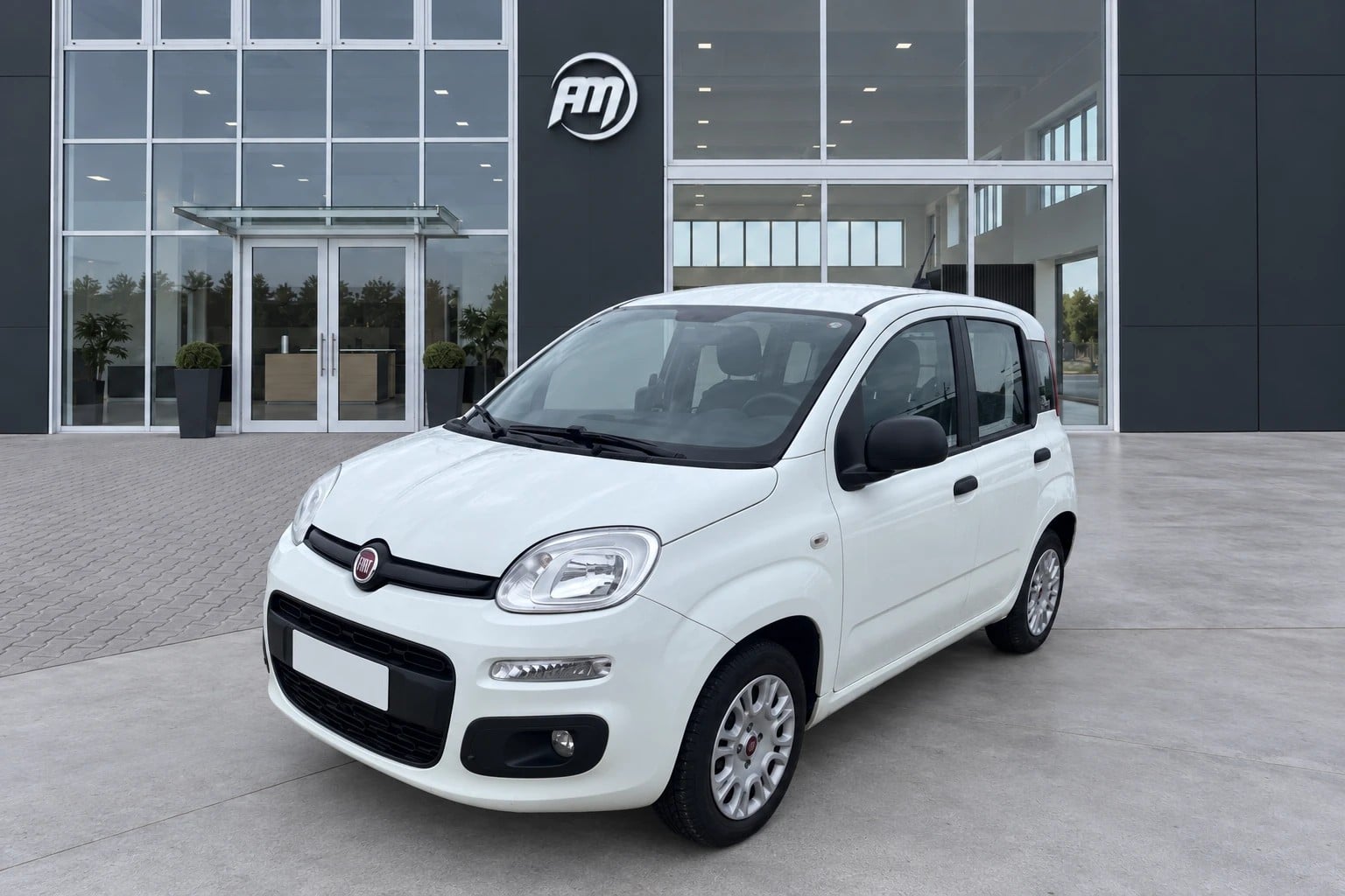 Fiat Panda III Van 2016 Panda 1.3Mjt Autocarro N1, del 2018, 139.139 km, in vendita a San Miniato (PI)