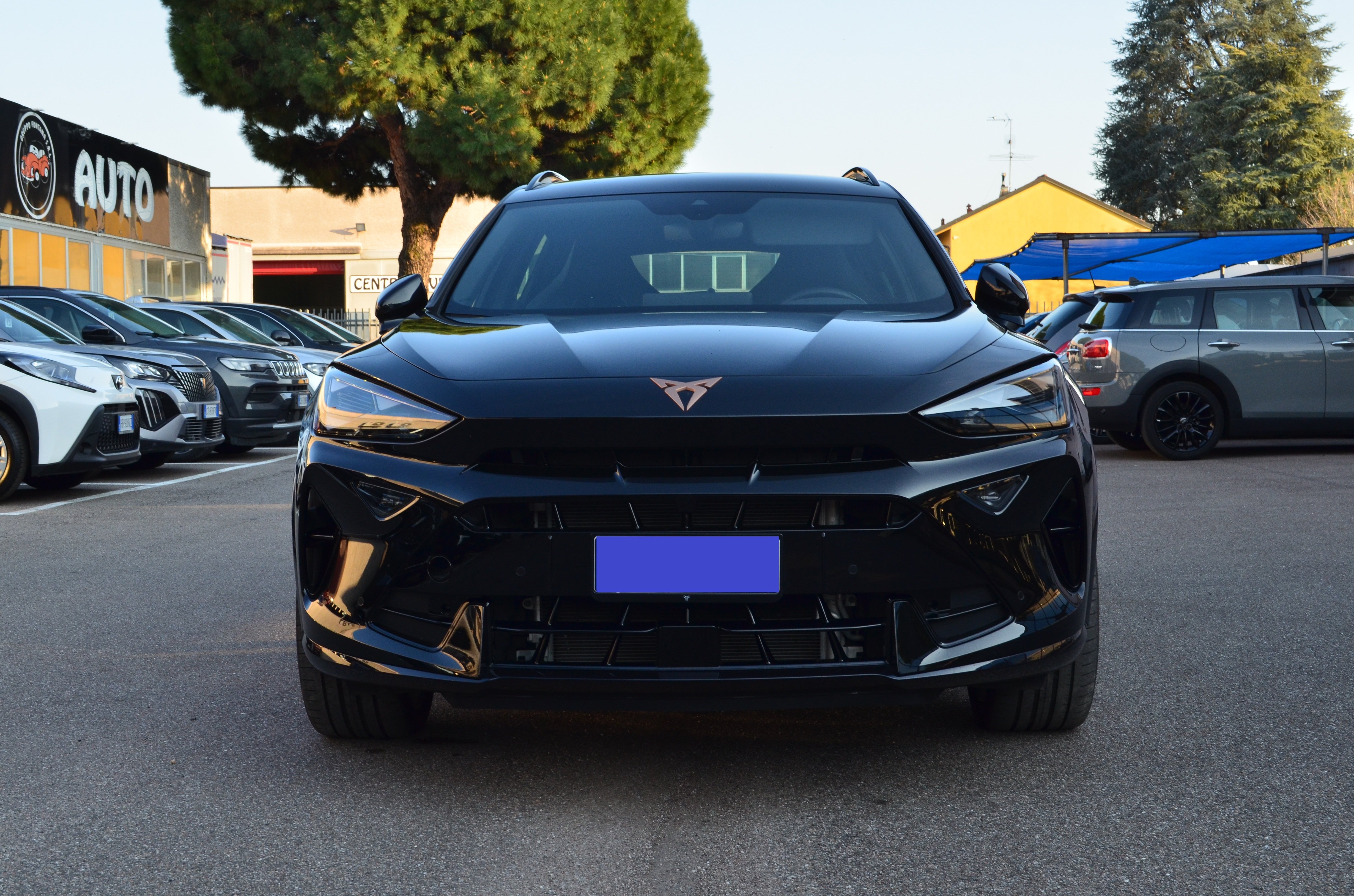 CUPRA Formentor 1.5 e-hybrid 204cv dsg - foto 3 di 4