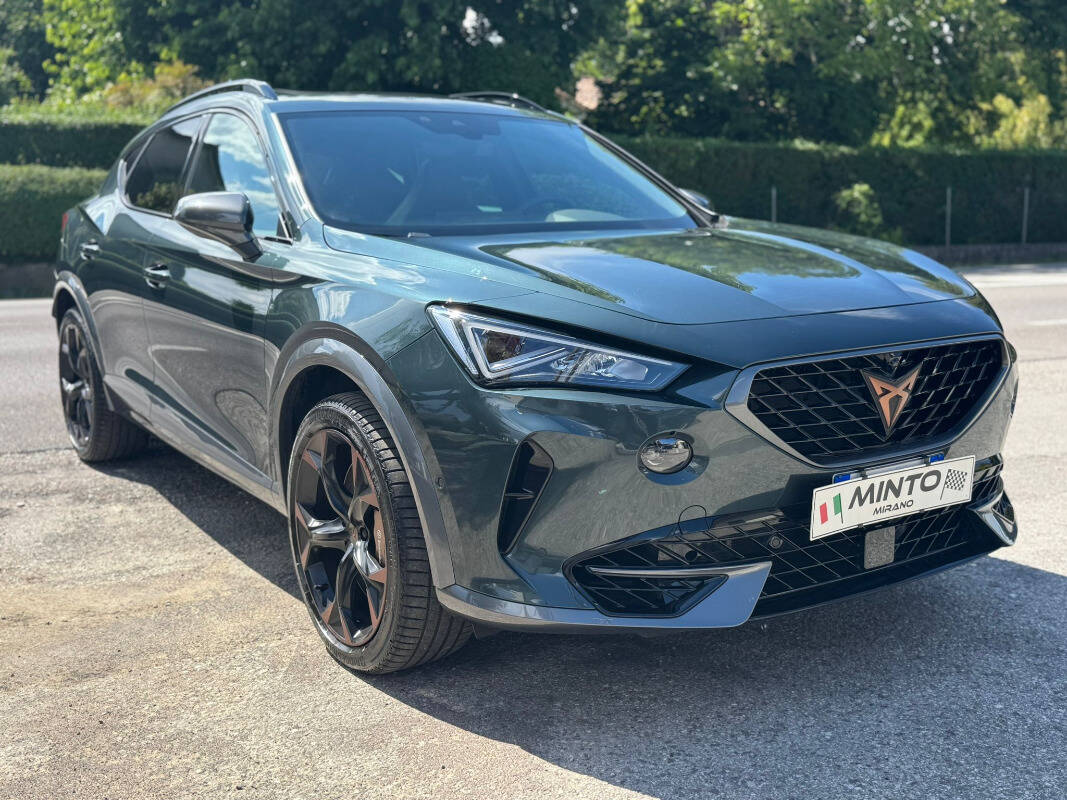 CUPRA Formentor 2.0 TSI 4Drive DSG VZ - foto 4 di 23