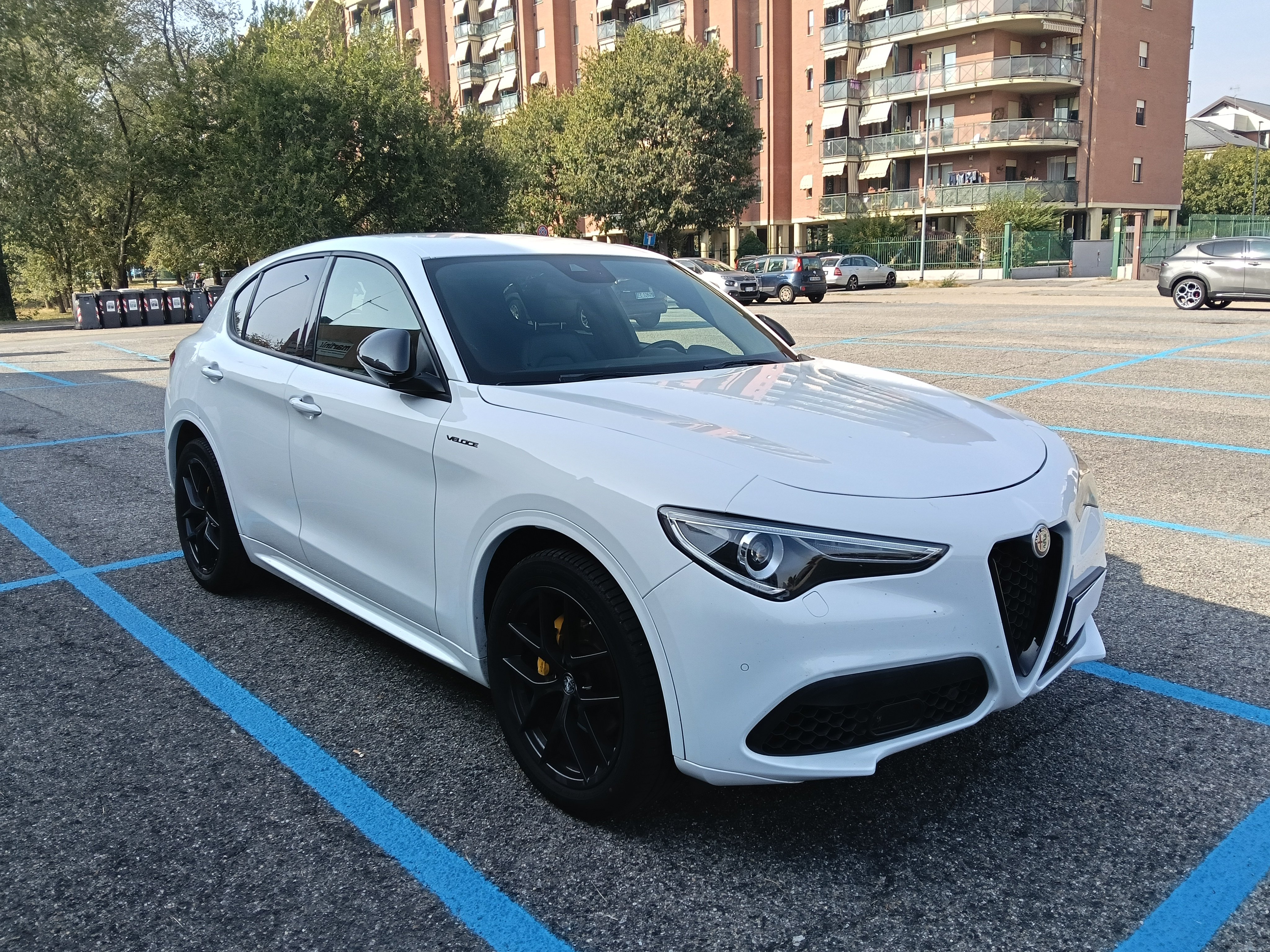 Alfa Romeo Stelvio 2.0 t Veloce Q4 280cv auto - foto 3 di 4