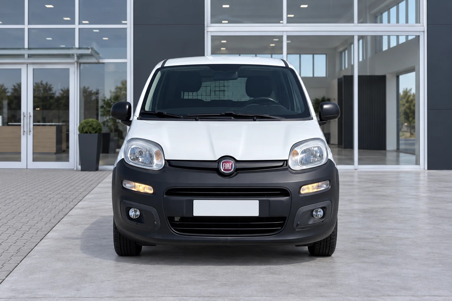 Fiat Panda III Van 2012 Panda 1.2 B/Gpl Van 2 posti - foto 2 di 4