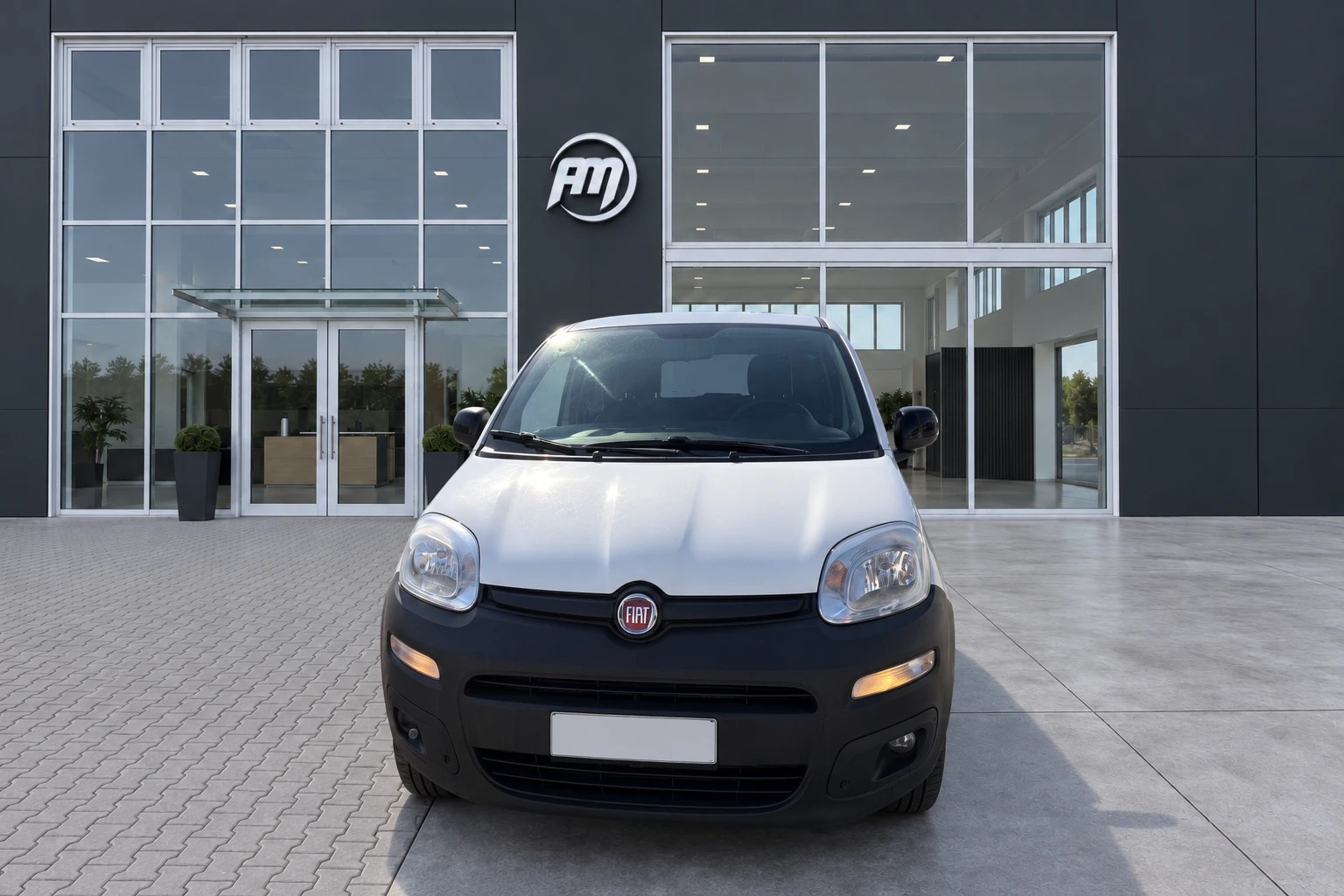 Fiat Panda III Van 2016 Panda 1.2 VAN AUTOCARRO - foto 2 di 4