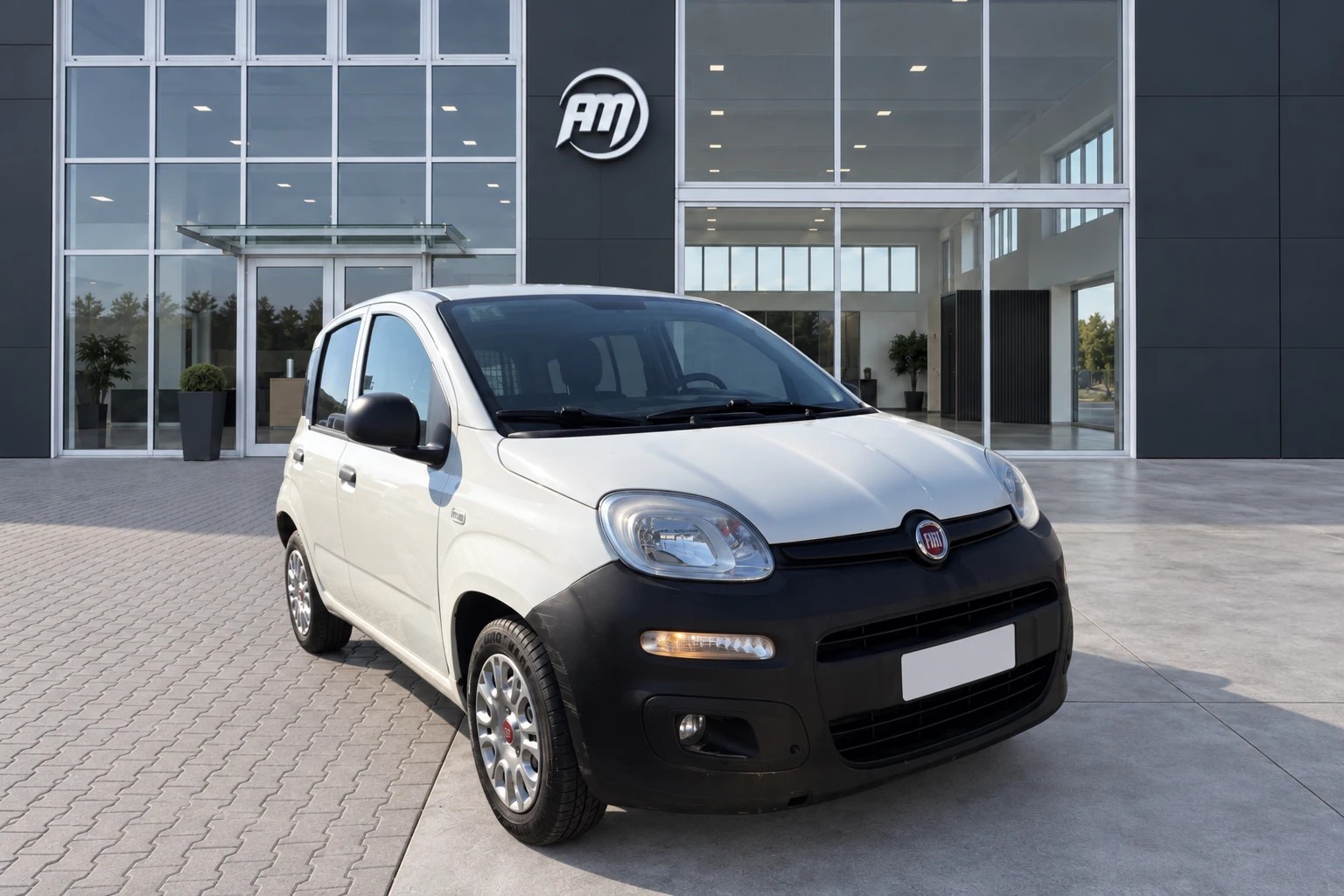 Fiat Panda III Van 2016 Panda 1.2 VAN AUTOCARRO - foto 3 di 4