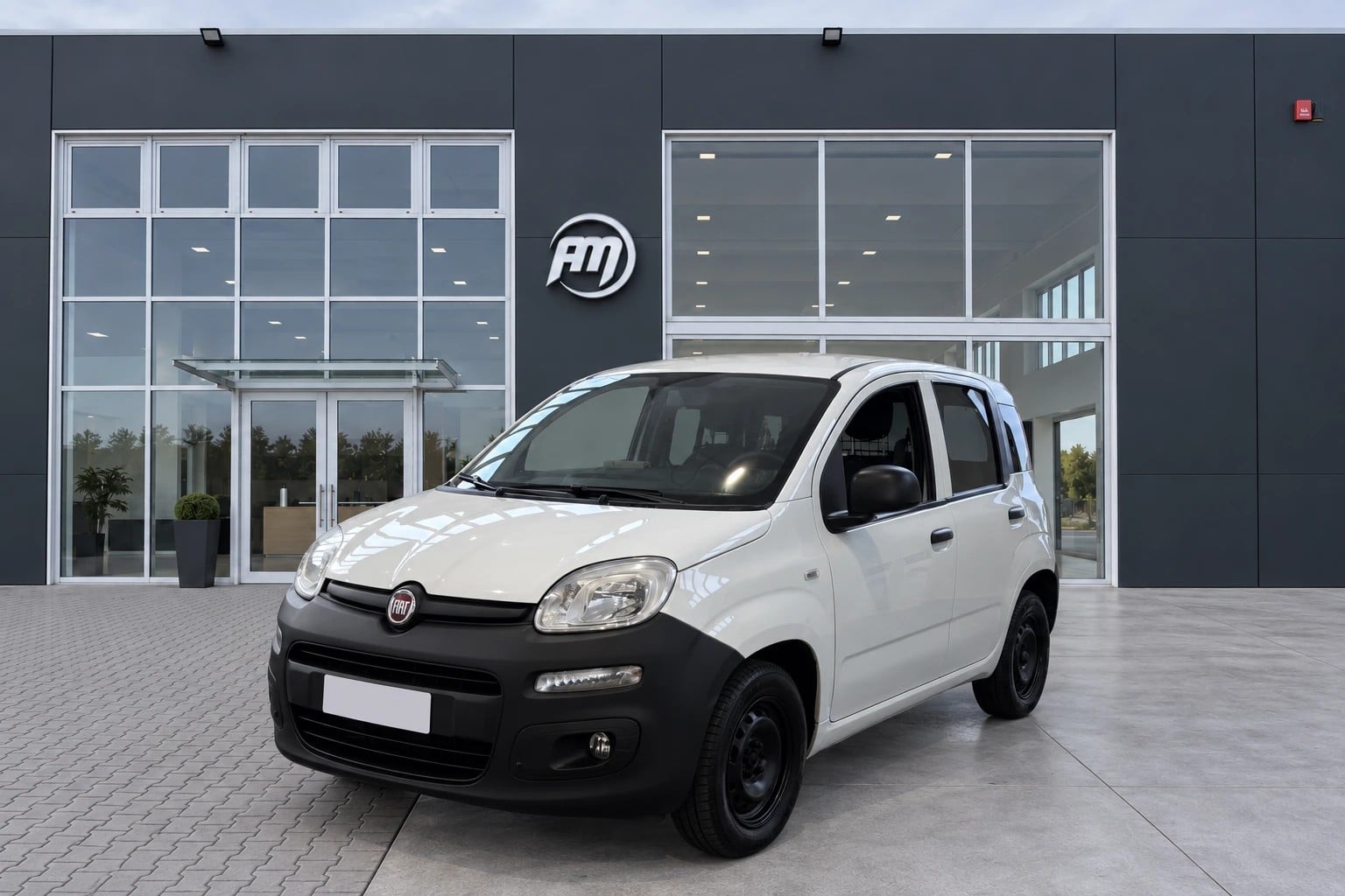 Fiat Panda III Van 2016 Panda 1.2 Van BZ 2 posti, del 2018, 66.205 km, in vendita a San Miniato (PI)