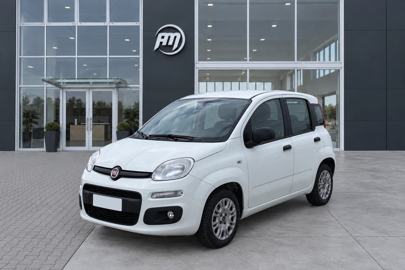 Fiat Panda III Van 2016 Panda 1.3Mjt Autocarro N1, del 2018, 108.153 km, in vendita a San Miniato (PI)