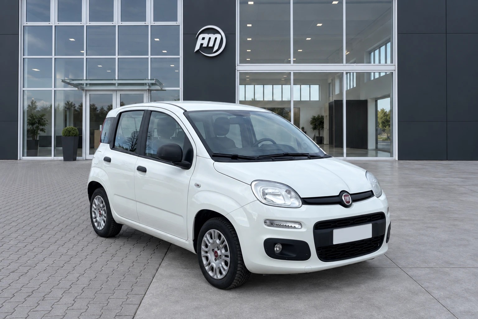 Fiat Panda III Van 2016 Panda 1.3Mjt Autocarro N1 - foto 3 di 4
