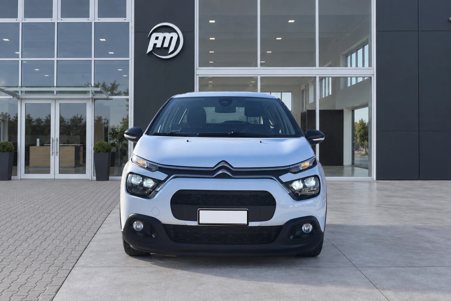 Citroen C3 III C3 1.5 100CV Van 2 Posti - foto 2 di 4
