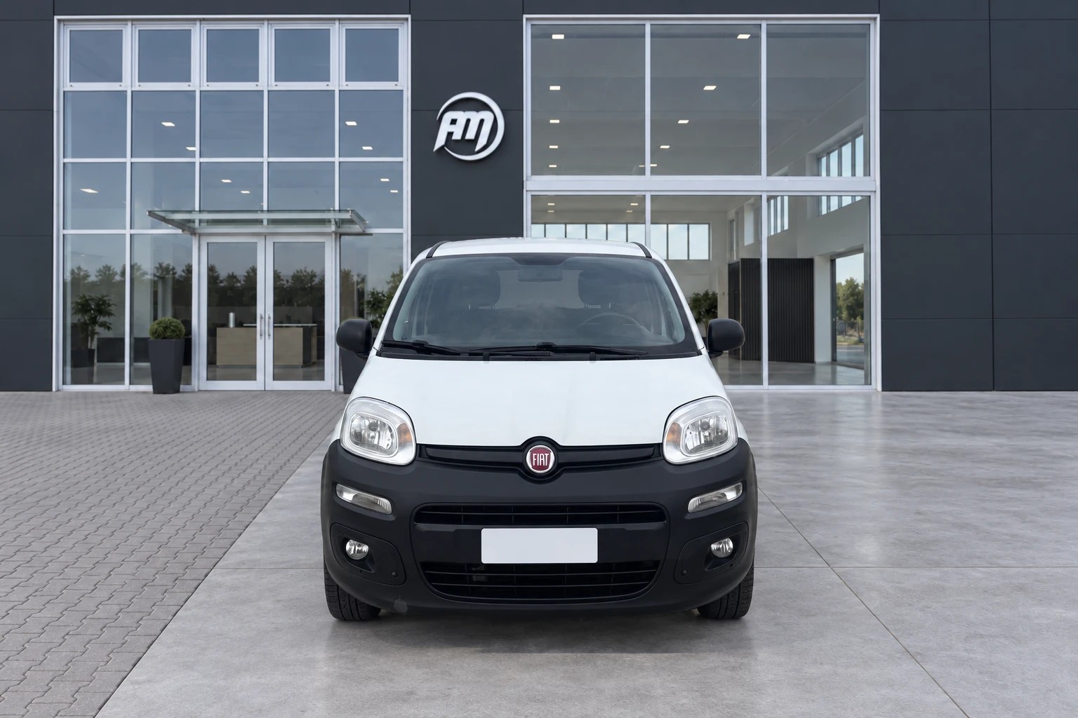 Fiat Panda III Van 2012 Panda VAN B/MET - foto 2 di 4