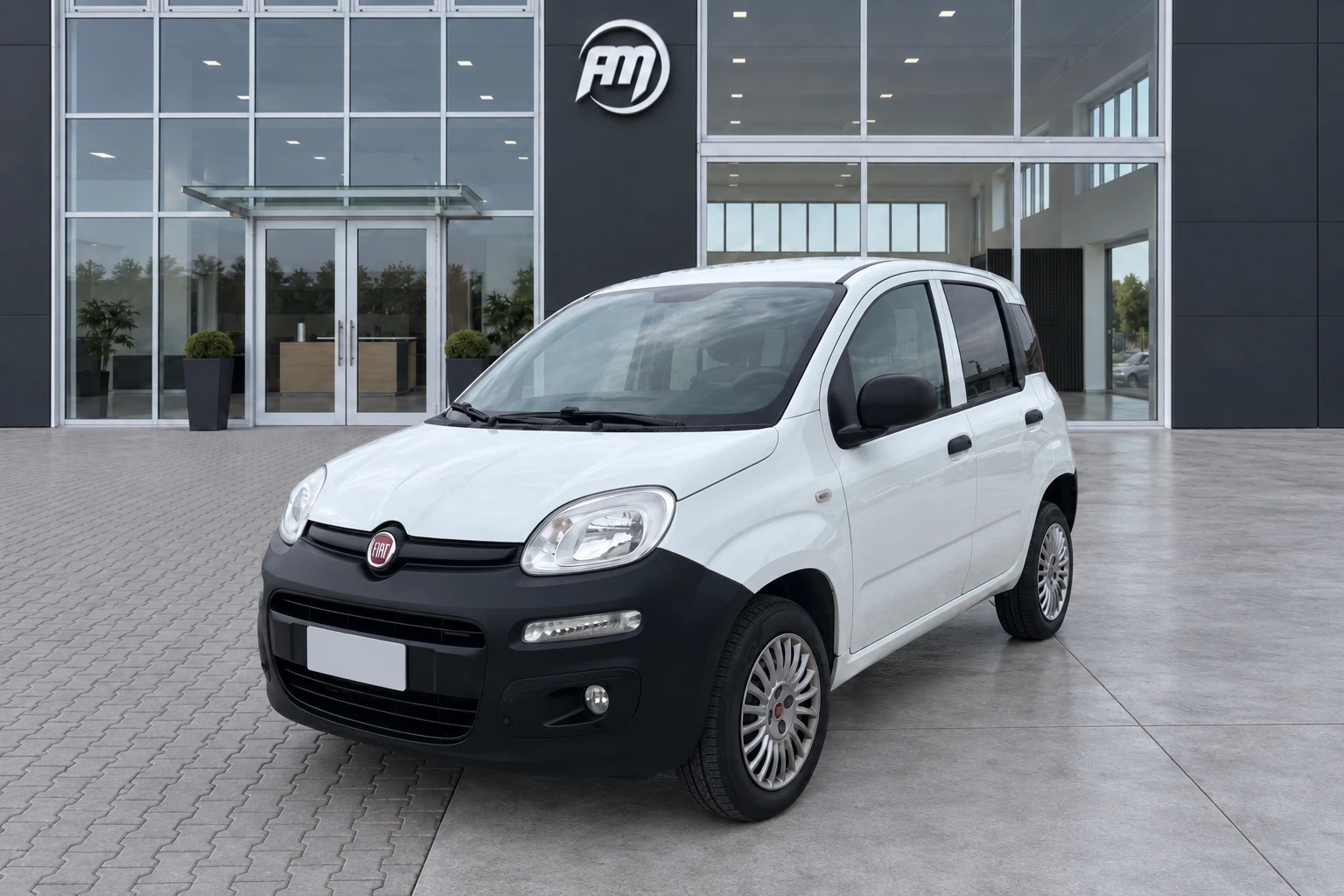 Fiat Panda III Van 2012 Panda VAN B/MET, del 2016, 79.460 km, in vendita a San Miniato (PI)