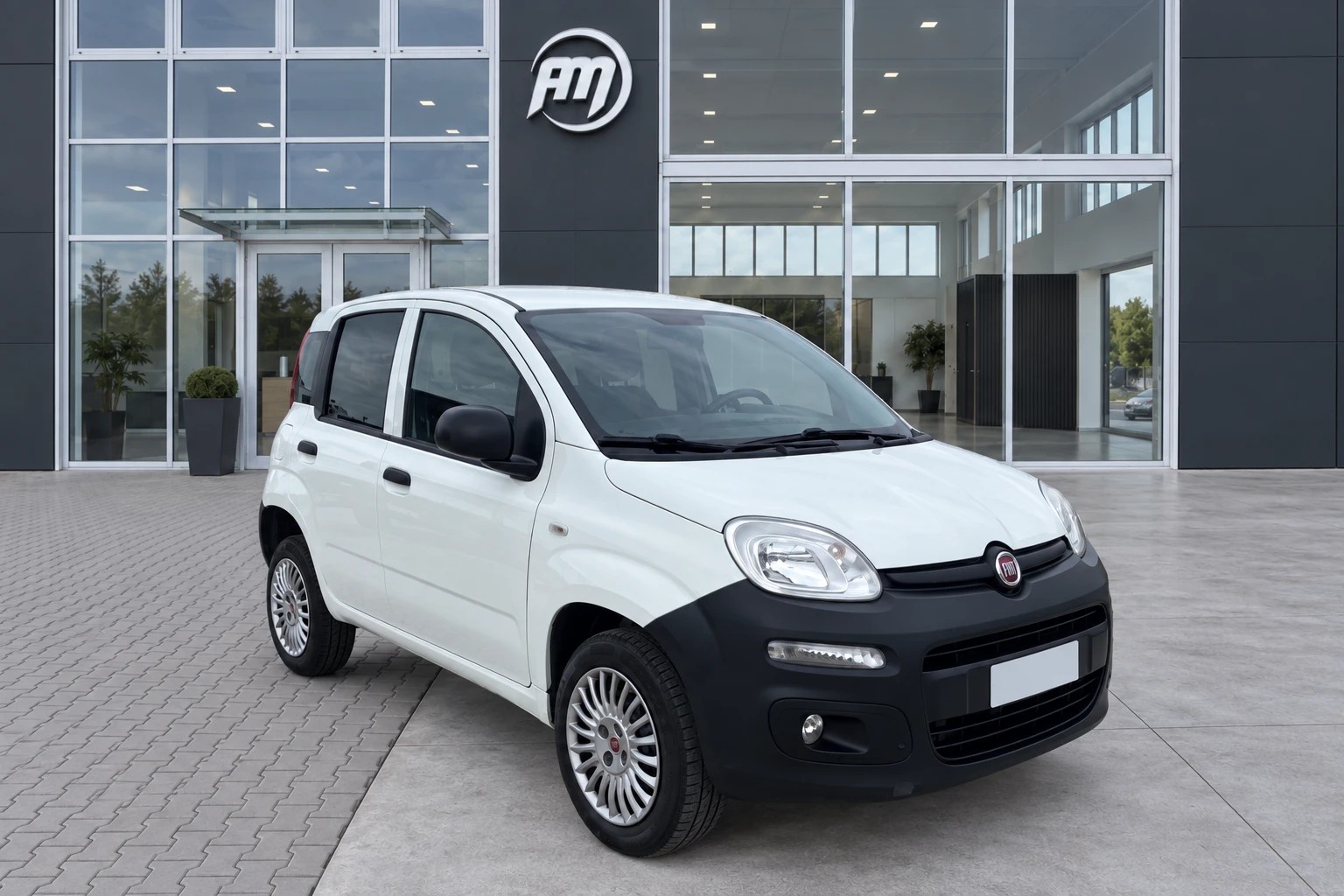 Fiat Panda III Van 2012 Panda VAN B/MET - foto 3 di 4