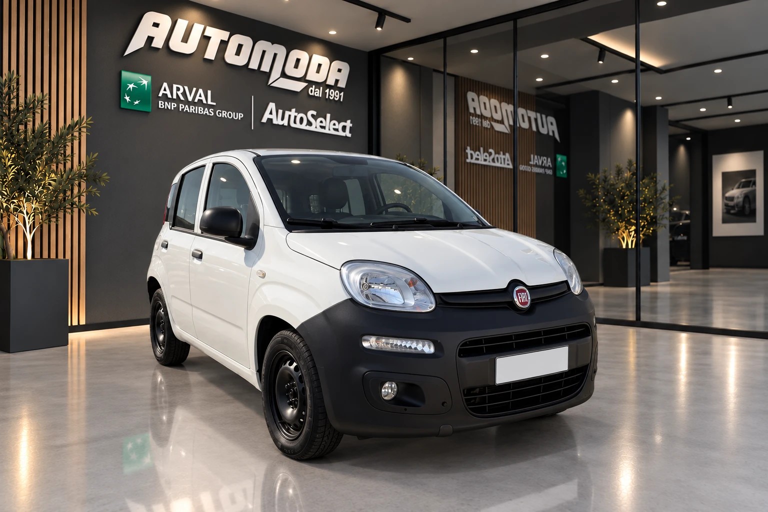 Fiat Panda III Van 2012 Panda 1.3Mjt Van 2 Posti - foto 3 di 4