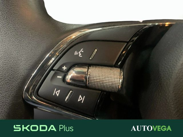 Skoda Karoq 2.0 tdi evo executive 115cv dsg usato a ARZIGNANO