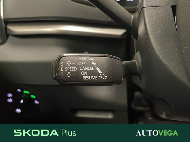 Skoda Karoq 2.0 tdi evo executive 115cv dsg usato a ARZIGNANO