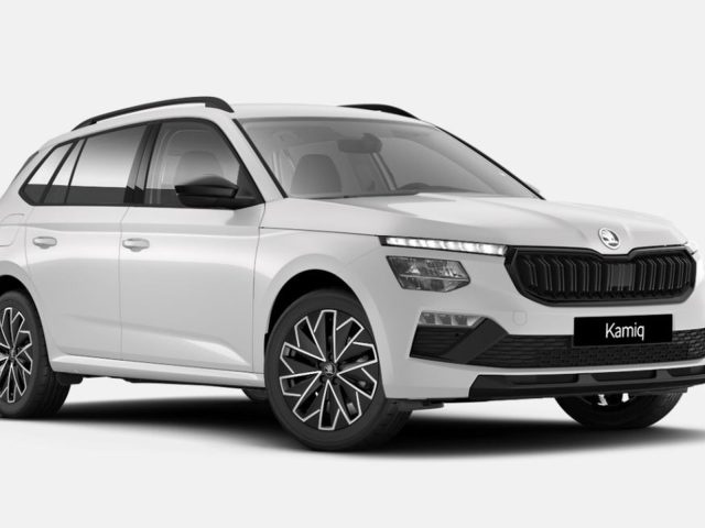 Skoda Kamiq 1.0 tsi black dots 95cv nuovo a ARZIGNANO
