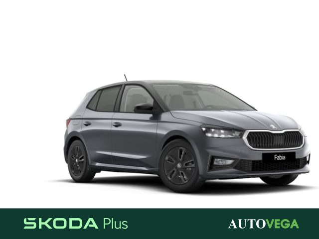 Skoda Fabia 1.0 mpi 130 edition 80cv usato a ARZIGNANO