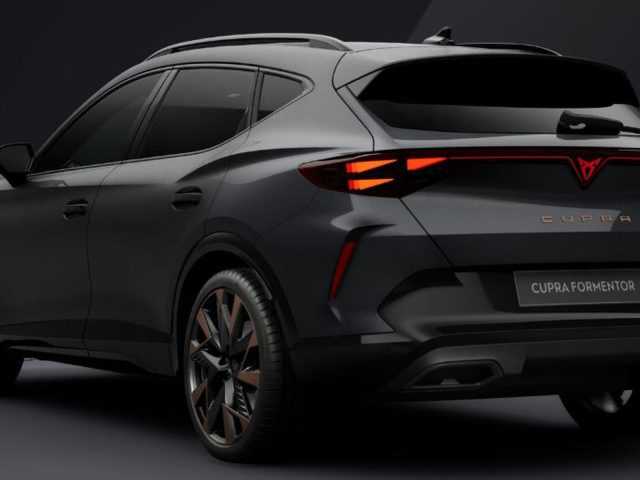 CUPRA Formentor 2.0 tdi business 150cv dsg - foto 3 di 3