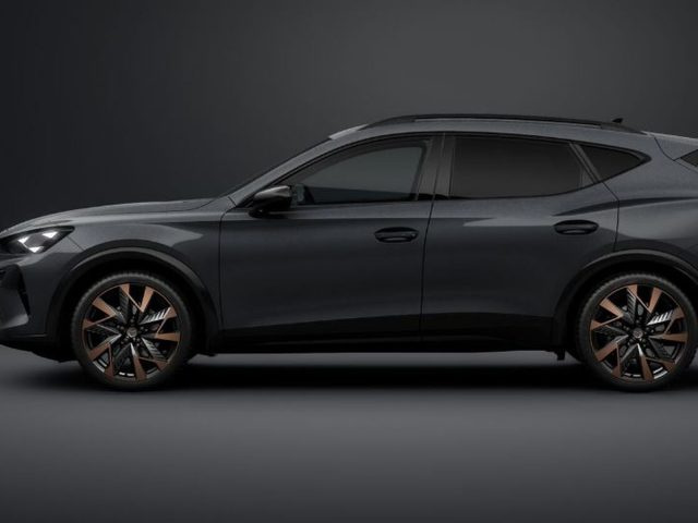 CUPRA Formentor 2.0 tdi business 150cv dsg - foto 2 di 3