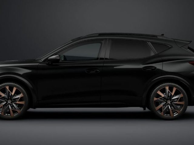 CUPRA Formentor 2.0 tdi business 150cv dsg - foto 2 di 3