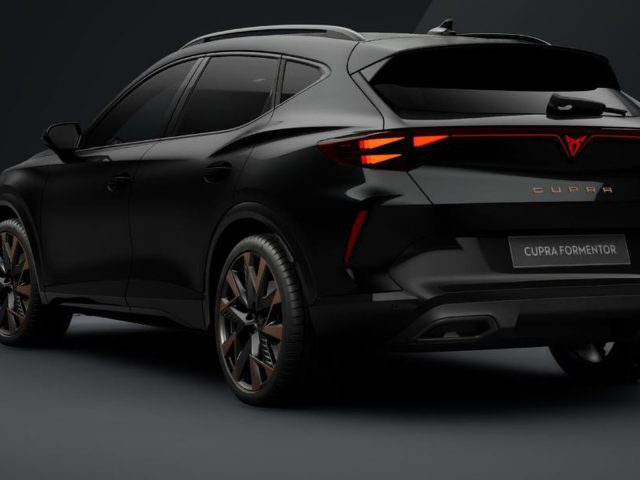 CUPRA Formentor 2.0 tdi business 150cv dsg - foto 3 di 3