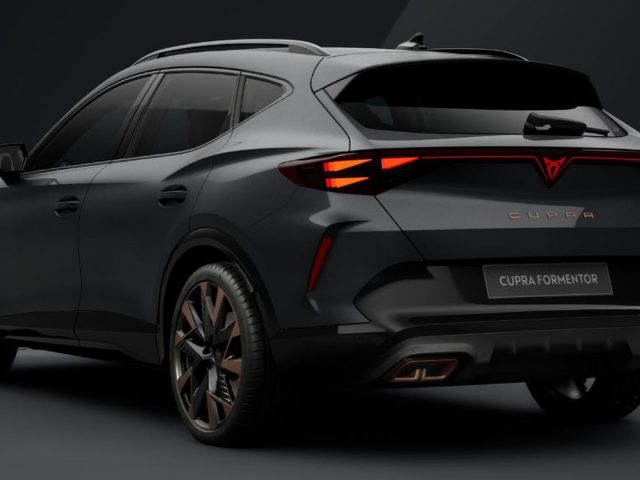 CUPRA Formentor 1.5 e-hybrid business 204cv dsg - foto 3 di 3