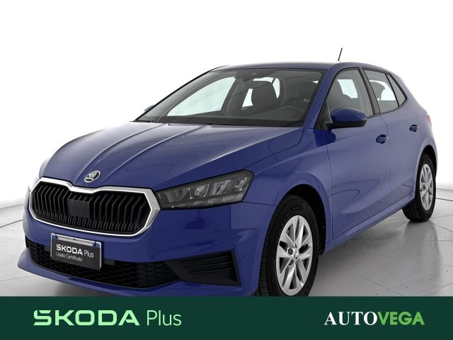 Skoda Fabia 1.0 mpi evo ambition 80cv usato a ARZIGNANO