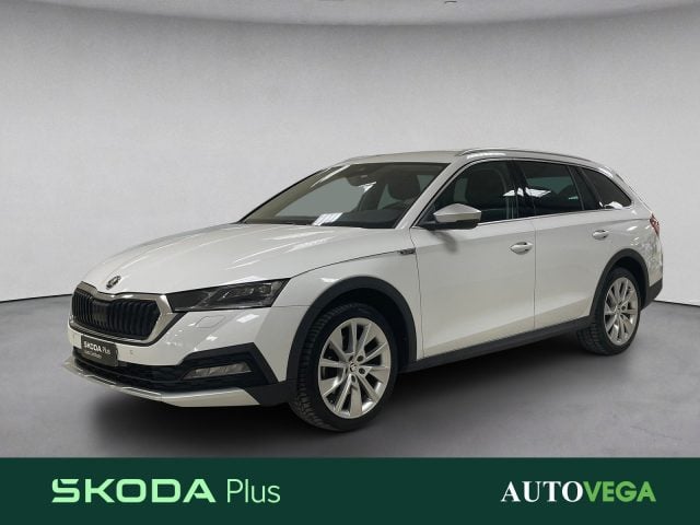 Skoda Octavia wagon 2.0 tdi evo scout 4x4 150cv dsg, del 2023, 78.730 km, in vendita a Arzignano (VI)
