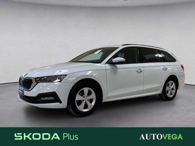 Skoda Octavia wagon 2.0 tdi evo executive 150cv dsg, del 2023, 77.724 km, in vendita a Arzignano (VI)