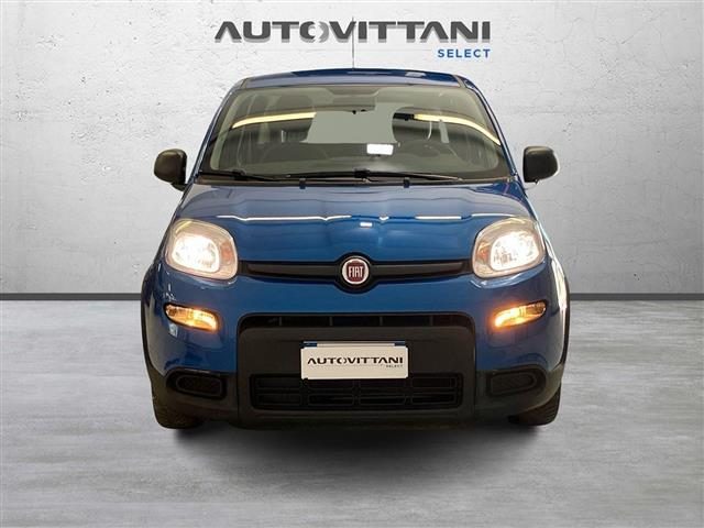 Fiat Panda 1.0 FireFly Hybrid 70cv S&S No Vincoli! - foto 2 di 4