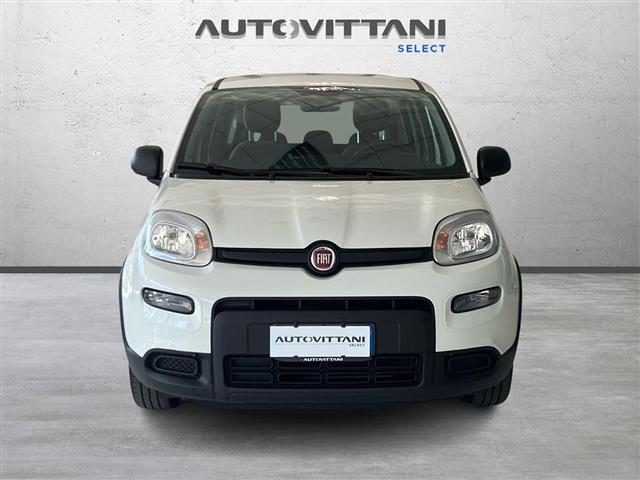 Fiat Panda 1.0 FireFly Hybrid 70cv City Life S&S 5p.ti - foto 2 di 4