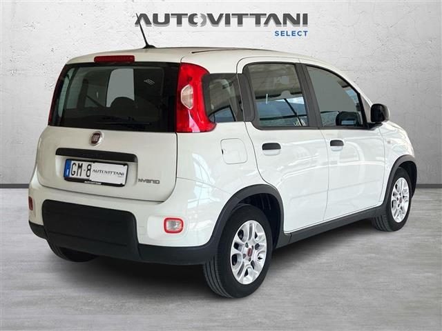 Fiat Panda 1.0 FireFly Hybrid 70cv City Life S&S 5p.ti - foto 3 di 4