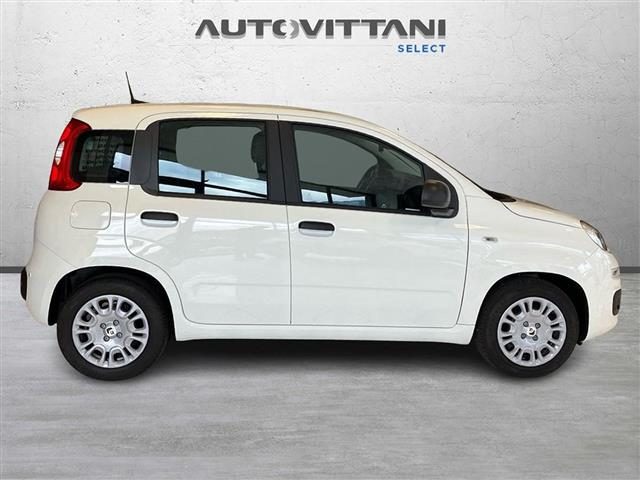 Fiat Panda Pandina 1.0 FireFly Hybrid 65cv Icon S&S 5p.ti - foto 4 di 4
