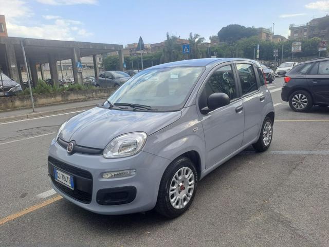 Fiat Panda 1.0 Hybrid 70CV 5° POSTI - UNIPRO TAGLIANDATA usato a CIAMPINO