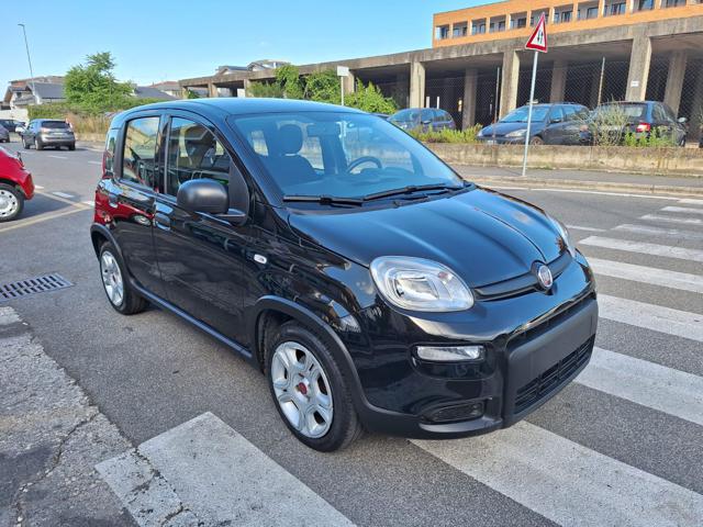 Fiat Panda 1.0 Hybrid 70CV CITY LIFE - GARANTITA usato a CIAMPINO