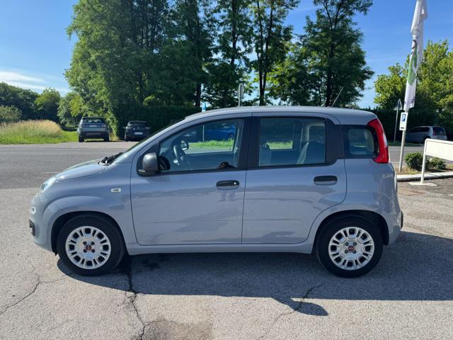 Fiat Panda III 1.0 FireFly 70Cv S&S Hybrid Easy - foto 4 di 4