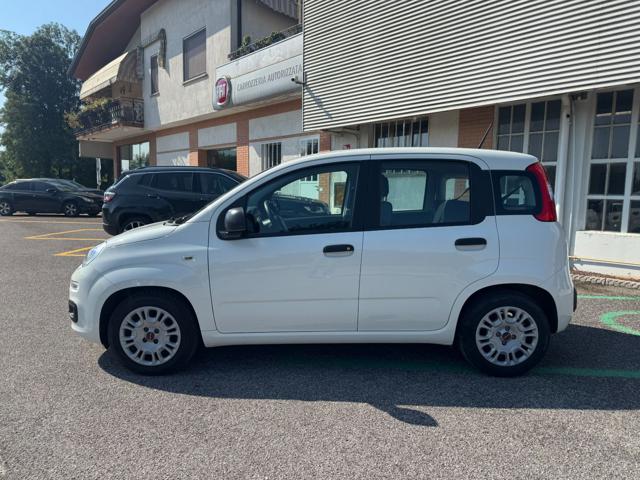 Fiat Panda III 1.0 FireFly 70Cv S&S Hybrid Easy - foto 4 di 4