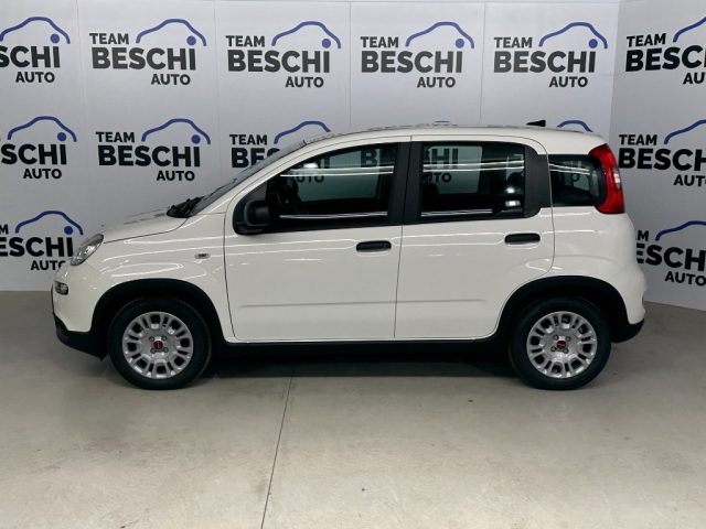 Fiat Panda 1.0 FireFly S&S Hybrid City Life usato a LONATO DEL GARDA