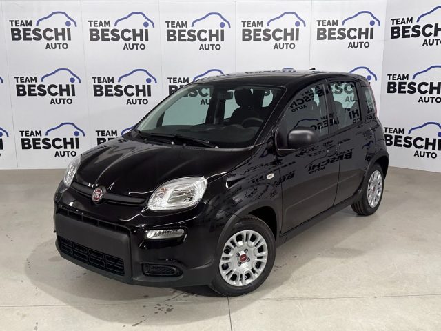 Fiat Panda 1.0 FireFly S&S Hybrid City Life usato a LONATO DEL GARDA