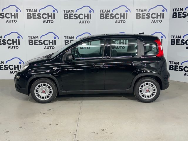 Fiat Panda 1.0 FireFly S&S Hybrid City Life - foto 2 di 4