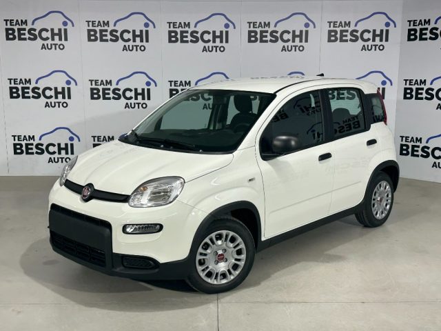 Fiat Panda 1.0 FireFly S&S Hybrid City Life usato a LONATO DEL GARDA