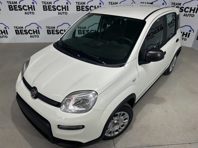 Fiat Panda 1.0 FireFly S&S Hybrid City Life usato a LONATO DEL GARDA