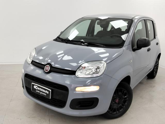 Fiat Panda 1.0 FireFly S&S Hybrid usato a LURATE CACCIVIO