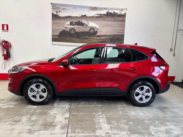 Ford Kuga 2.5 Full Hybrid 190 CV CVT 2WD Connect usato a MONTANO LUCINO