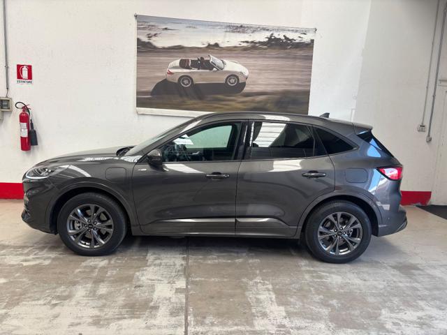 Ford Kuga 2.5 Plug In Hybrid 225 CV CVT 2WD ST-Line usato a MONTANO LUCINO