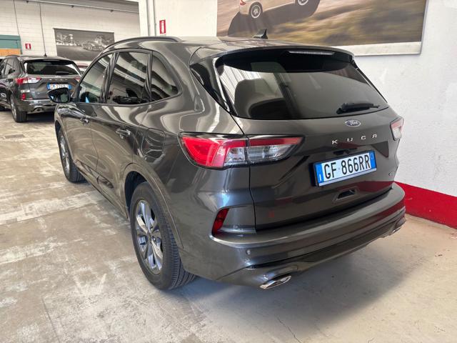 Ford Kuga 2.5 Plug In Hybrid 225 CV CVT 2WD ST-Line - foto 4 di 4