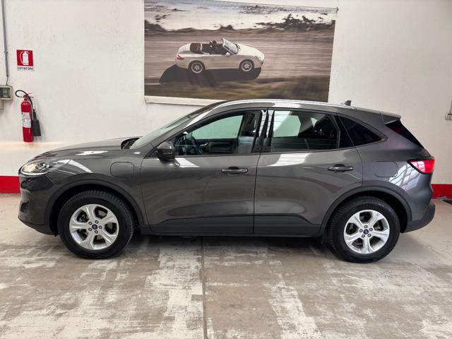 Ford Kuga 2.5 Plug In Hybrid 225 CV CVT 2WD Connect usato a MONTANO LUCINO