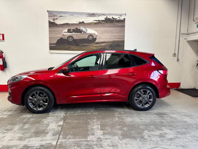 Ford Kuga 2.5 Full Hybrid 190 CV CVT 2WD ST-Line usato a MONTANO LUCINO