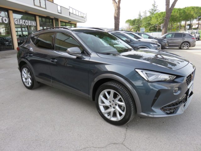 CUPRA Formentor 2.0 TDI 4Drive DSG usato a TOLENTINO